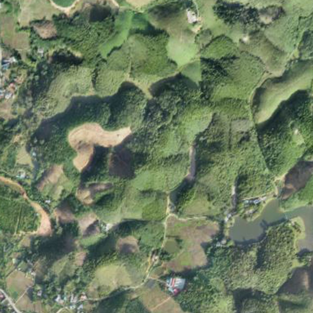 ảnh số trực quan 2D